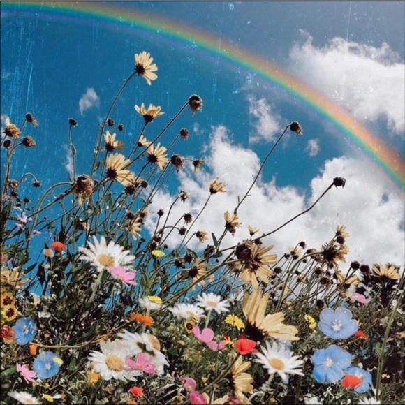 Welcome! - Picture 2 of 2